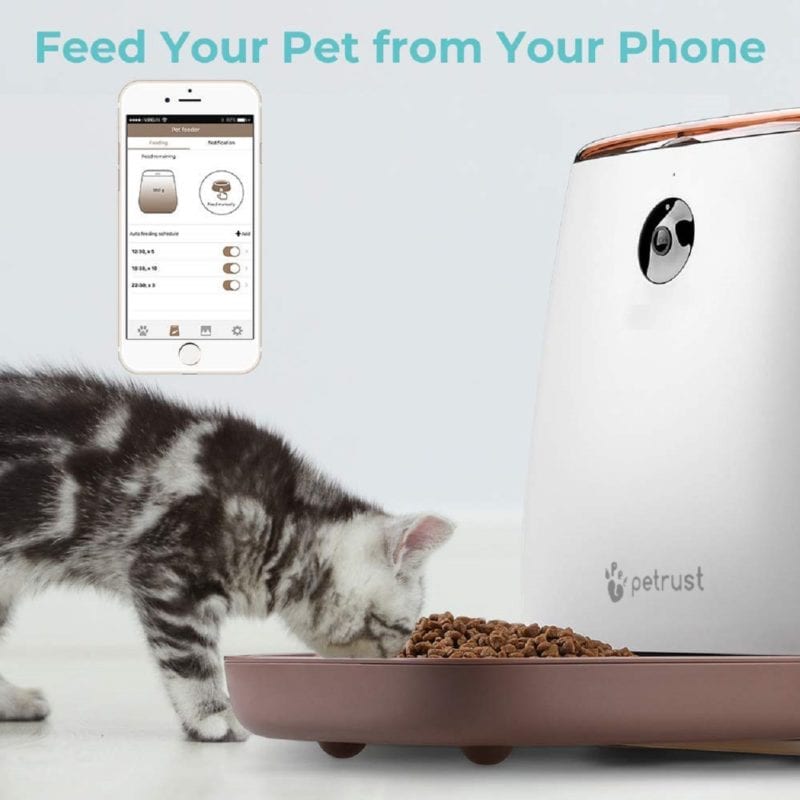 PP001 Petrust app connectivity smart pet feeder